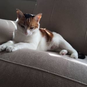 Meet your Posher, Maryam